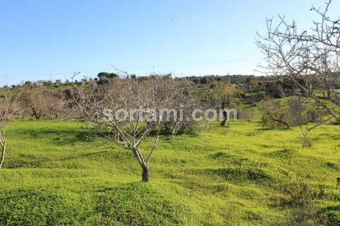 Helårsgrund i Lagoa, Faro, Lagoa - € 200.000 | Ref: Sort21284 - foto 5