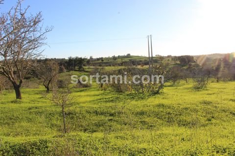 Helårsgrund i Lagoa, Faro, Lagoa - € 200.000 | Ref: Sort21284 - foto 7