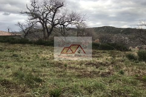 Terra a Cateri, Haute-Corse, Cateri - € 555.900 | Ref: 4889978 - foto 3