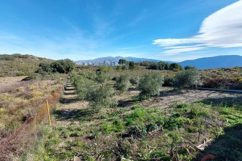 Finca i Molvizar, Granada, Molvizar - € 49.900 | Ref: MN103 - foto 9