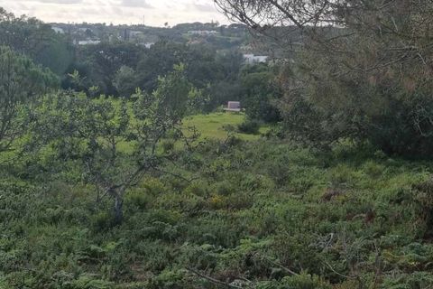 Helårsgrund i Lagoa, Faro, Lagoa - € 1.260.000 | Ref: 263 - foto 7