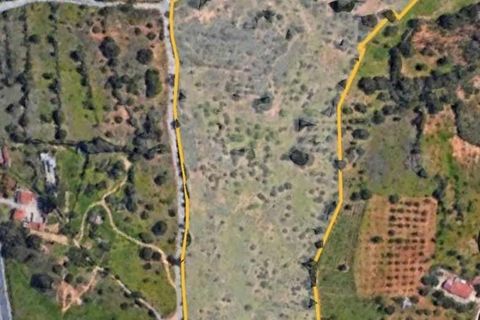 Helårsgrund i Lagoa, Faro, Lagoa - € 1.260.000 | Ref: 263 - foto 11