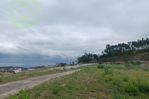 Terra a Quiaios, Coimbra, Quiaios - € 185.000 | Ref: SÒL_1290 - foto 7