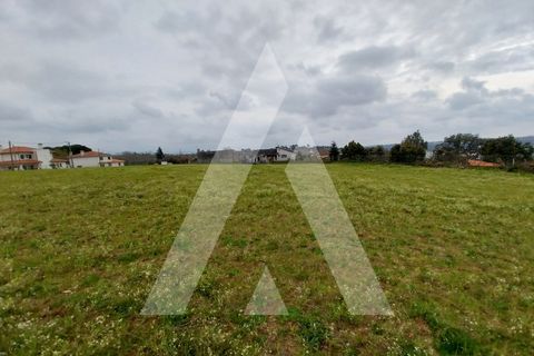 Helårsgrund i Macinhata do Vouga, Aveiro, Macinhata do Vouga - € 110.000 | Ref: 1060838/24 AL - foto 6