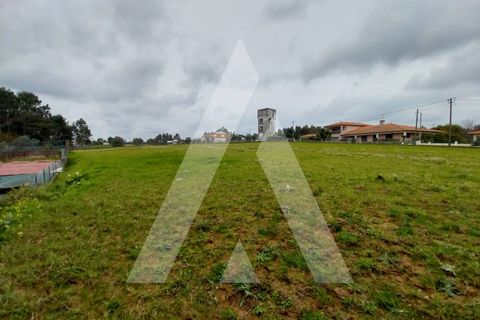 Helårsgrund i Macinhata do Vouga, Aveiro, Macinhata do Vouga - € 110.000 | Ref: 1060838/24 AL - foto 7