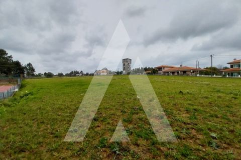 Helårsgrund i Macinhata do Vouga, Aveiro, Macinhata do Vouga - € 110.000 | Ref: 1060838/24 AL - foto 9
