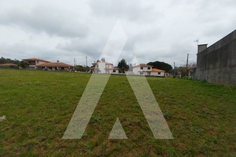 Helårsgrund i Macinhata do Vouga, Aveiro, Macinhata do Vouga - € 110.000 | Ref: 1060838/24 AL - foto 10