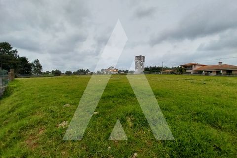 Helårsgrund i Macinhata do Vouga, Aveiro, Macinhata do Vouga - € 110.000 | Ref: 1060838/24 AL - foto 11
