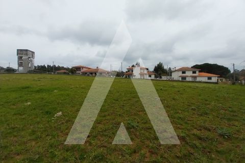 Helårsgrund i Macinhata do Vouga, Aveiro, Macinhata do Vouga - € 110.000 | Ref: 1060838/24 AL - foto 12