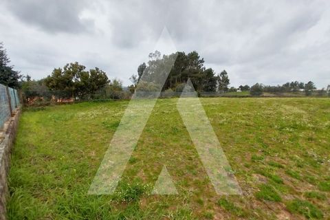 Helårsgrund i Macinhata do Vouga, Aveiro, Macinhata do Vouga - € 110.000 | Ref: 1060838/24 AL - foto 13