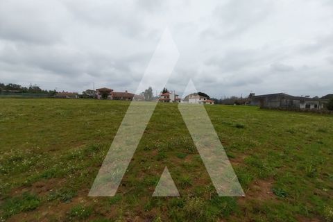 Helårsgrund i Macinhata do Vouga, Aveiro, Macinhata do Vouga - € 110.000 | Ref: 1060838/24 AL - foto 14