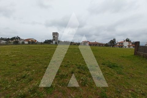 Helårsgrund i Macinhata do Vouga, Aveiro, Macinhata do Vouga - € 110.000 | Ref: 1060838/24 AL - foto 15