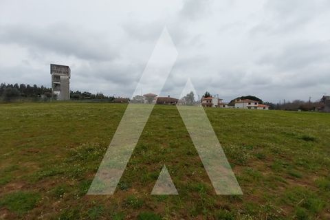 Helårsgrund i Macinhata do Vouga, Aveiro, Macinhata do Vouga - € 110.000 | Ref: 1060838/24 AL - foto 16