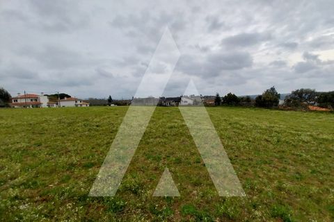 Helårsgrund i Macinhata do Vouga, Aveiro, Macinhata do Vouga - € 110.000 | Ref: 1060838/24 AL - foto 17