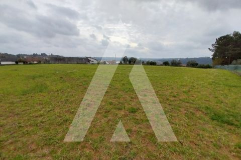 Helårsgrund i Macinhata do Vouga, Aveiro, Macinhata do Vouga - € 110.000 | Ref: 1060838/24 AL - foto 18