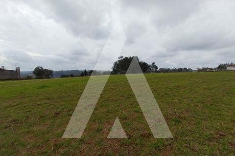 Helårsgrund i Macinhata do Vouga, Aveiro, Macinhata do Vouga - € 110.000 | Ref: 1060838/24 AL - foto 19