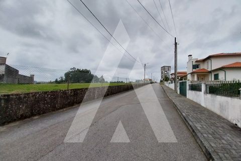 Helårsgrund i Macinhata do Vouga, Aveiro, Macinhata do Vouga - € 110.000 | Ref: 1060838/24 AL - foto 20