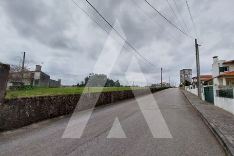 Helårsgrund i Macinhata do Vouga, Aveiro, Macinhata do Vouga - € 110.000 | Ref: 1060838/24 AL - foto 21