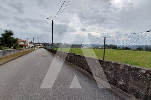 Helårsgrund i Macinhata do Vouga, Aveiro, Macinhata do Vouga - € 110.000 | Ref: 1060838/24 AL - foto 22