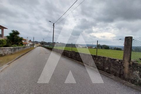 Helårsgrund i Macinhata do Vouga, Aveiro, Macinhata do Vouga - € 110.000 | Ref: 1060838/24 AL - foto 23