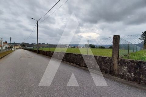 Helårsgrund i Macinhata do Vouga, Aveiro, Macinhata do Vouga - € 110.000 | Ref: 1060838/24 AL - foto 24