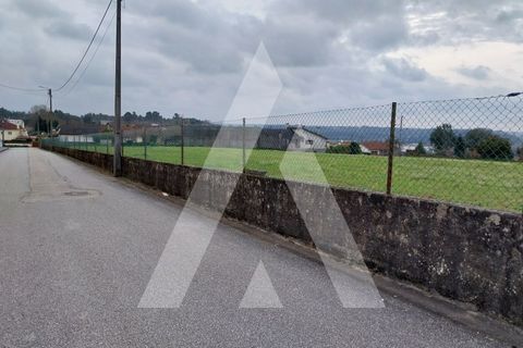 Helårsgrund i Macinhata do Vouga, Aveiro, Macinhata do Vouga - € 110.000 | Ref: 1060838/24 AL - foto 25