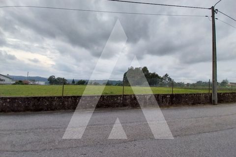 Helårsgrund i Macinhata do Vouga, Aveiro, Macinhata do Vouga - € 110.000 | Ref: 1060838/24 AL - foto 26