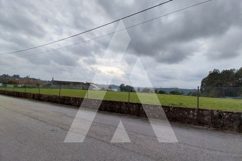 Helårsgrund i Macinhata do Vouga, Aveiro, Macinhata do Vouga - € 110.000 | Ref: 1060838/24 AL - foto 27