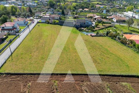Helårsgrund i Macinhata do Vouga, Aveiro, Macinhata do Vouga - € 110.000 | Ref: 1060838/24 AL - foto 4