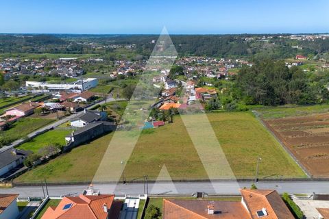 Helårsgrund i Macinhata do Vouga, Aveiro, Macinhata do Vouga - € 110.000 | Ref: 1060838/24 AL - foto 2