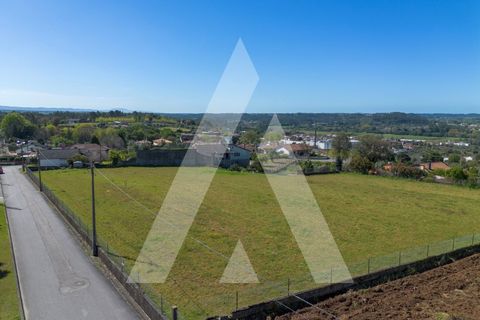 Helårsgrund i Macinhata do Vouga, Aveiro, Macinhata do Vouga - € 110.000 | Ref: 1060838/24 AL - foto 5
