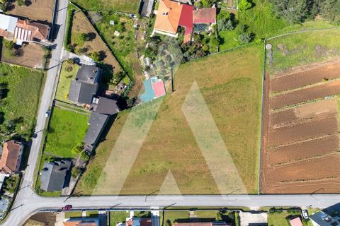 Helårsgrund i Macinhata do Vouga, Aveiro, Macinhata do Vouga - € 110.000 | Ref: 1060838/24 AL - foto 3