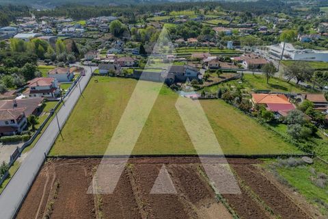 Helårsgrund i Macinhata do Vouga, Aveiro, Macinhata do Vouga - € 110.000 | Ref: 1060838/24 AL - foto 1