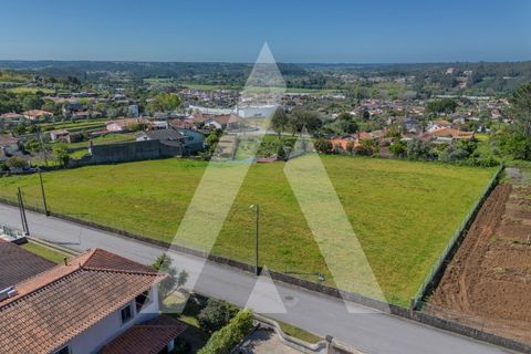 Helårsgrund i Macinhata do Vouga, Aveiro, Macinhata do Vouga - € 110.000 | Ref: 1060838/24 AL - foto 28