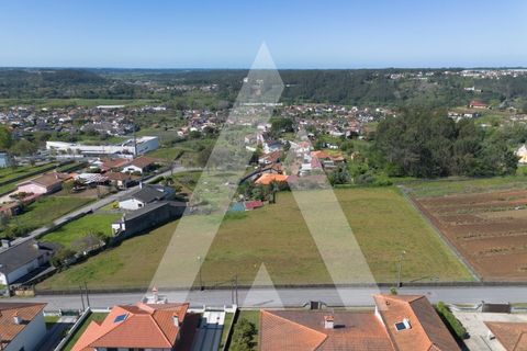 Helårsgrund i Macinhata do Vouga, Aveiro, Macinhata do Vouga - € 110.000 | Ref: 1060838/24 AL - foto 29