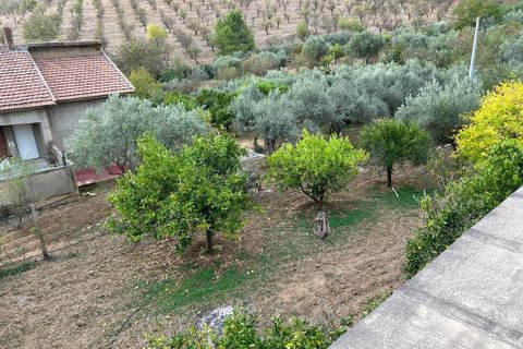 Villa a Caltanissetta, Caltanissetta, Caltanissetta - € 69.000 | Ref: 1544 - foto 3