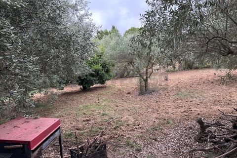 Villa a Caltanissetta, Caltanissetta, Caltanissetta - € 69.000 | Ref: 1544 - foto 13