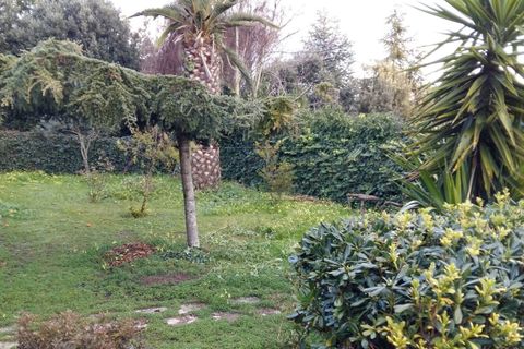 Villa i Caltanissetta, Caltanissetta, Caltanissetta - € 285.000 | Ref: 1552 - foto 7