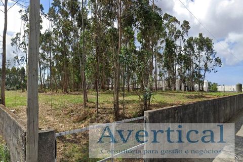 Helårsgrund i Vila do Conde, Porto, Vila do Conde - € 395.000 | Ref: JG200 - foto 4