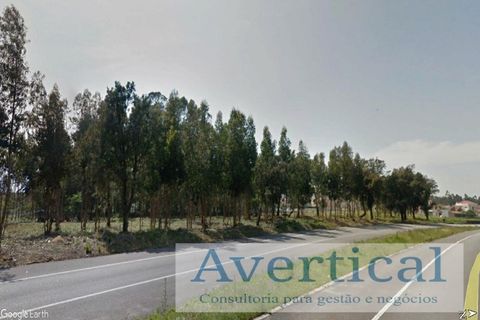 Helårsgrund i Vila do Conde, Porto, Vila do Conde - € 395.000 | Ref: JG200 - foto 5
