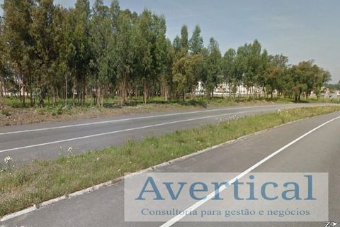 Helårsgrund i Vila do Conde, Porto, Vila do Conde - € 395.000 | Ref: JG200 - foto 8