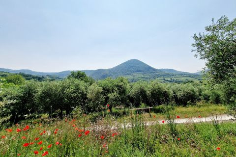 Landejendom i Cinto Euganeo, Padua, Cinto Euganeo - € 249.000 | Ref: RUST 204 - foto 3