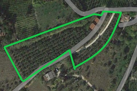 Landejendom i Cinto Euganeo, Padua, Cinto Euganeo - € 249.000 | Ref: RUST 204 - foto 4