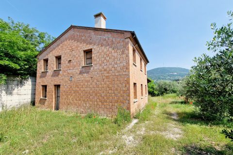 Landejendom i Cinto Euganeo, Padua, Cinto Euganeo - € 249.000 | Ref: RUST 204 - foto 5
