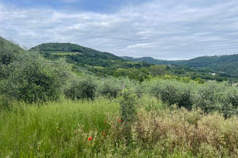 Landejendom i Cinto Euganeo, Padua, Cinto Euganeo - € 249.000 | Ref: RUST 204 - foto 7