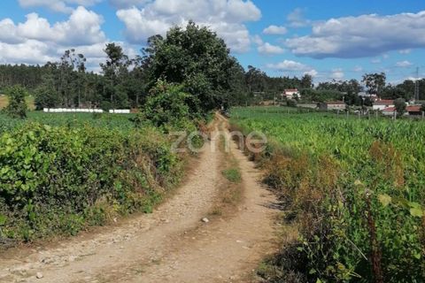 Helårsgrund i Braga, Braga, Braga - € 55.000 | Ref: ZMPT564744 - foto 2