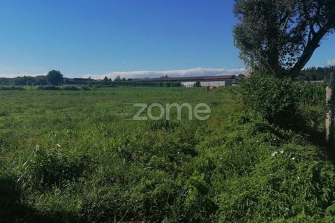 Helårsgrund i Braga, Braga, Braga - € 55.000 | Ref: ZMPT564744 - foto 4