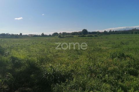 Helårsgrund i Braga, Braga, Braga - € 55.000 | Ref: ZMPT564744 - foto 5