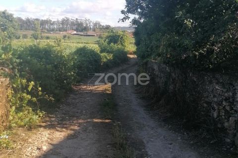 Helårsgrund i Braga, Braga, Braga - € 55.000 | Ref: ZMPT564744 - foto 9