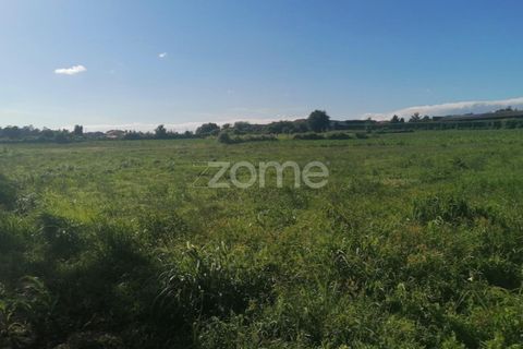 Helårsgrund i Braga, Braga, Braga - € 55.000 | Ref: ZMPT564744 - foto 11